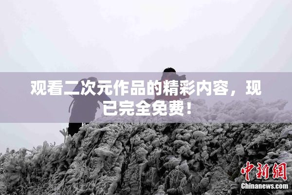 观看二次元作品的精彩内容，现已完全免费！