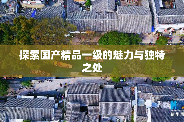 探索国产精品一级的魅力与独特之处