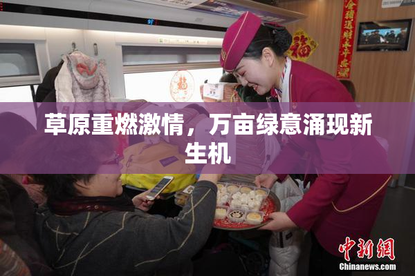 草原重燃激情，万亩绿意涌现新生机
