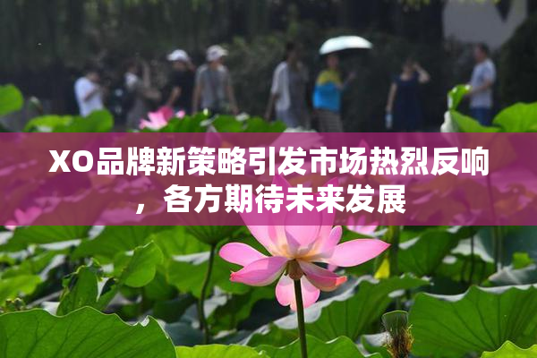 XO品牌新策略引发市场热烈反响，各方期待未来发展