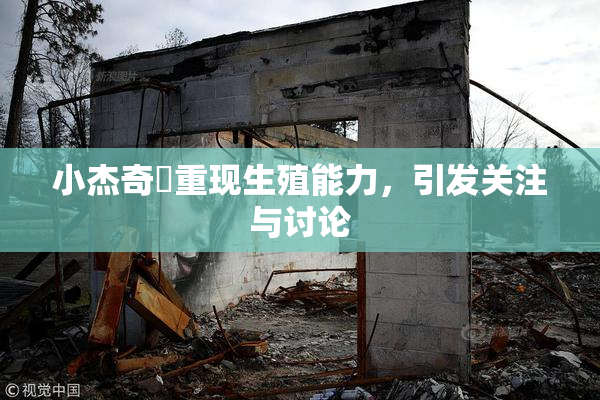 小杰奇犽重现生殖能力，引发关注与讨论