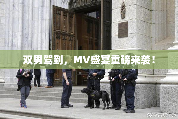 双男驾到，MV盛宴重磅来袭！