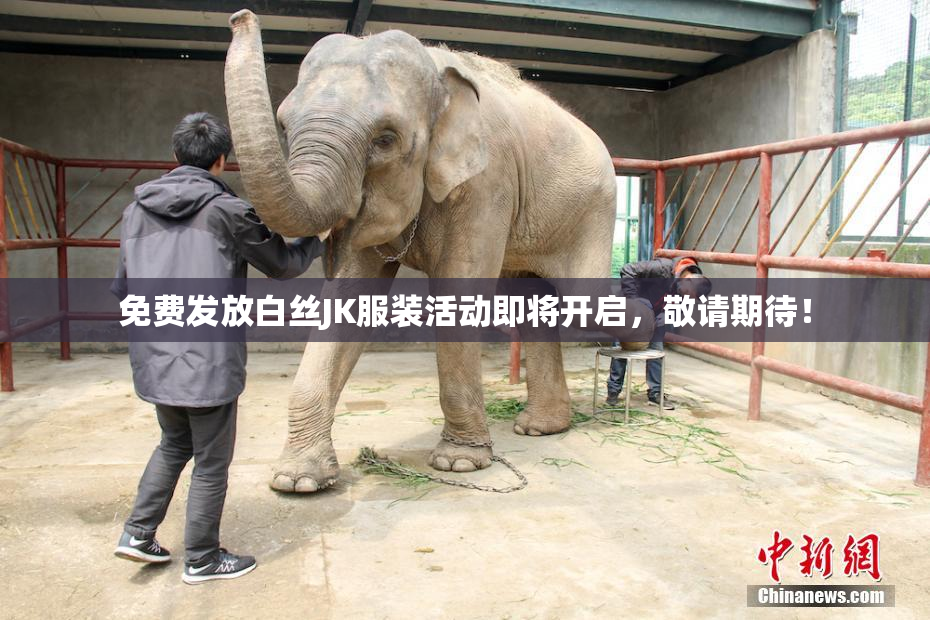 免费发放白丝JK服装活动即将开启，敬请期待！