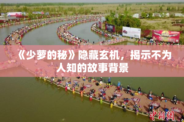 《少萝的秘》隐藏玄机，揭示不为人知的故事背景