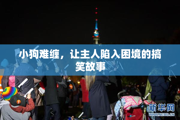 小狗难缠，让主人陷入困境的搞笑故事