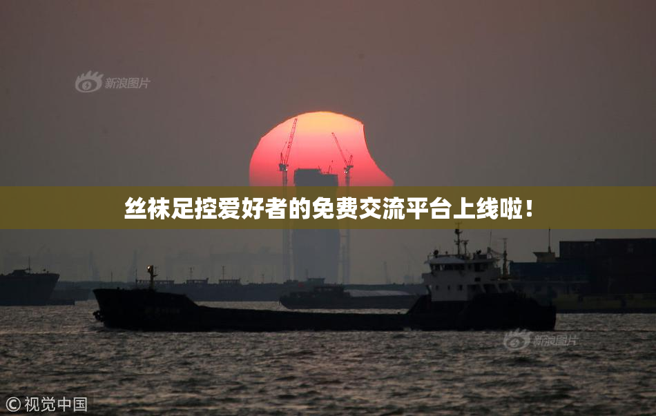 丝袜足控爱好者的免费交流平台上线啦！