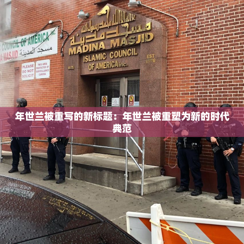 年世兰被重写的新标题：年世兰被重塑为新的时代典范