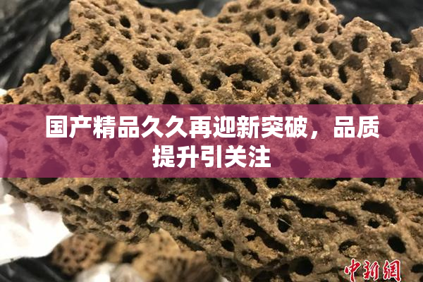 国产精品久久再迎新突破，品质提升引关注