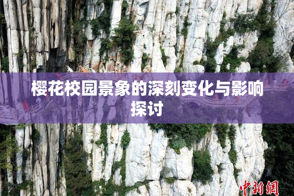 樱花校园景象的深刻变化与影响探讨