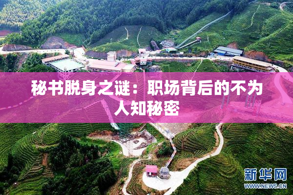 秘书脱身之谜：职场背后的不为人知秘密