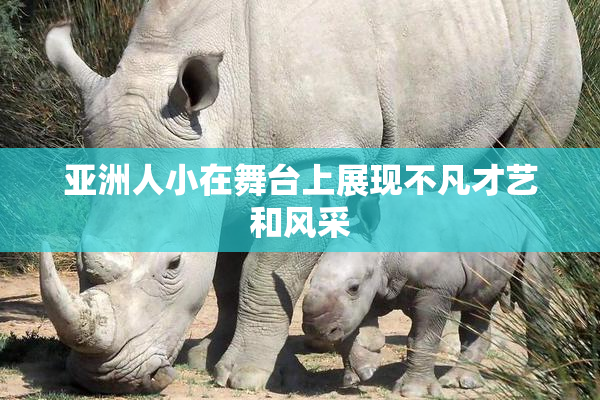 亚洲人小在舞台上展现不凡才艺和风采