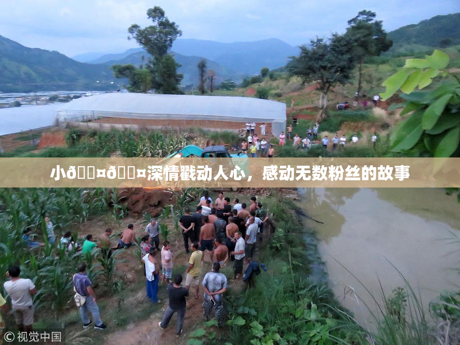 小🐤🐤深情戳动人心，感动无数粉丝的故事