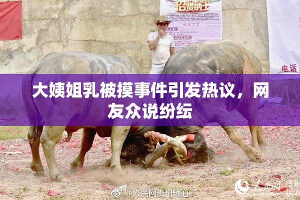 大姨姐乳被摸事件引发热议，网友众说纷纭