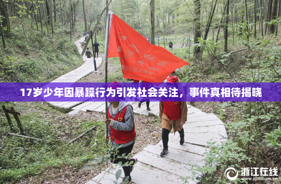 17岁少年因暴躁行为引发社会关注，事件真相待揭晓