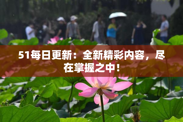 51每日更新：全新精彩内容，尽在掌握之中！