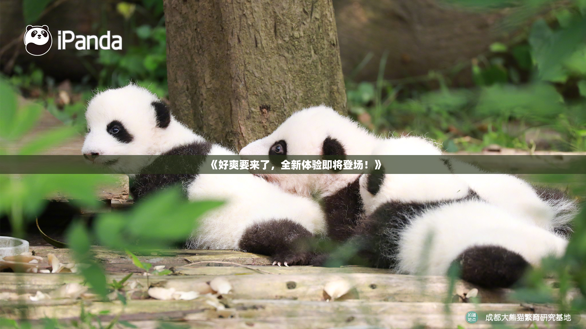 《好爽要来了，全新体验即将登场！》