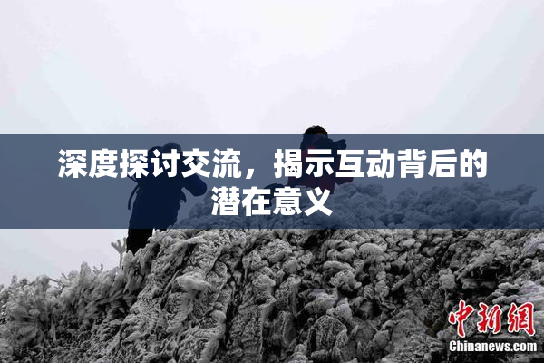 深度探讨交流，揭示互动背后的潜在意义