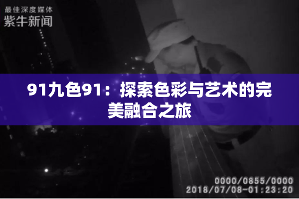 91九色91：探索色彩与艺术的完美融合之旅