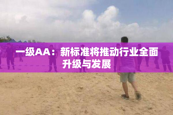 一级AA：新标准将推动行业全面升级与发展