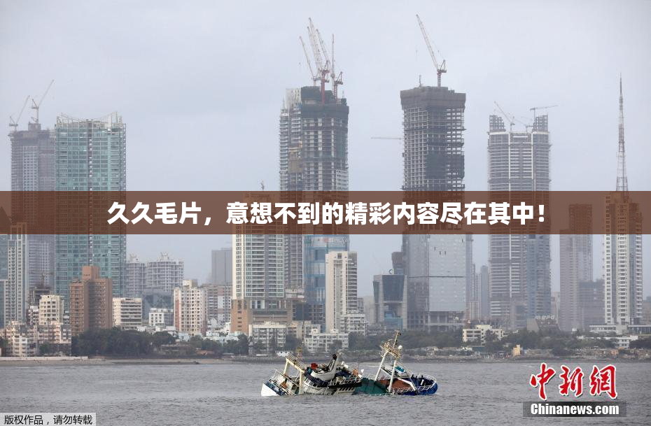 久久毛片，意想不到的精彩内容尽在其中！
