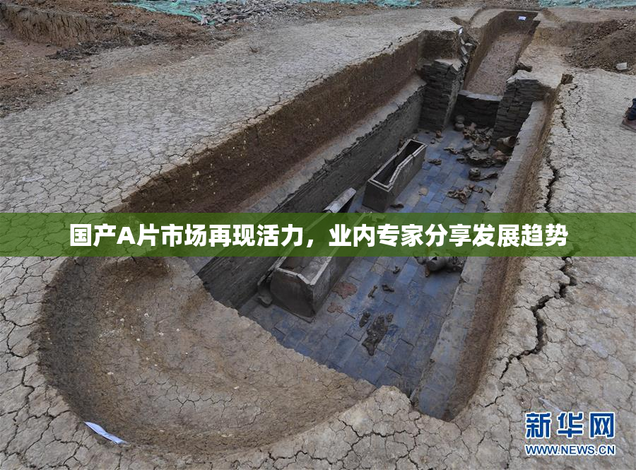 国产A片市场再现活力，业内专家分享发展趋势