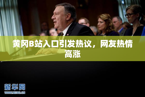 黄冈B站入口引发热议，网友热情高涨