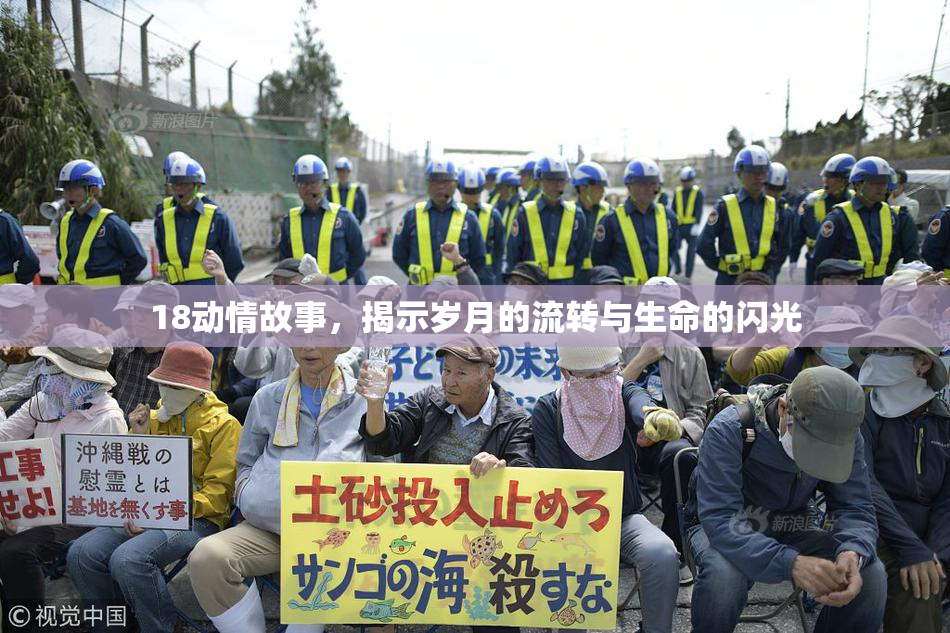 18动情故事，揭示岁月的流转与生命的闪光