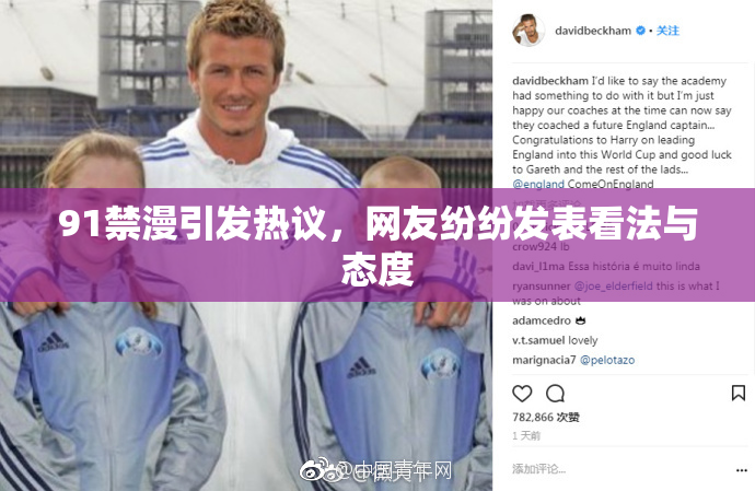 91禁漫引发热议，网友纷纷发表看法与态度