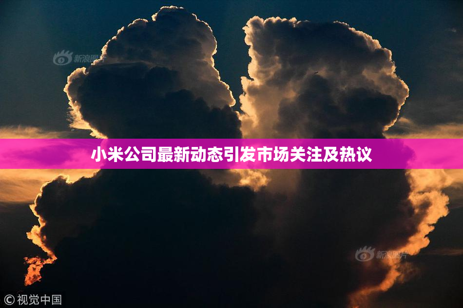 小米公司最新动态引发市场关注及热议