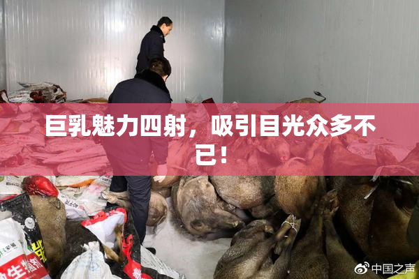 巨乳魅力四射，吸引目光众多不已！