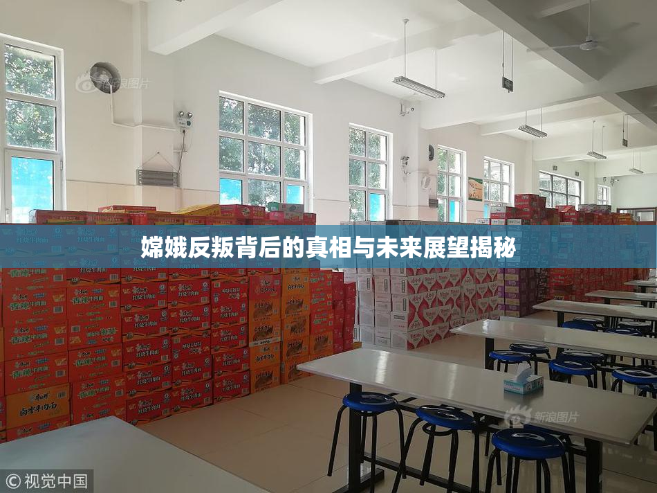 嫦娥反叛背后的真相与未来展望揭秘