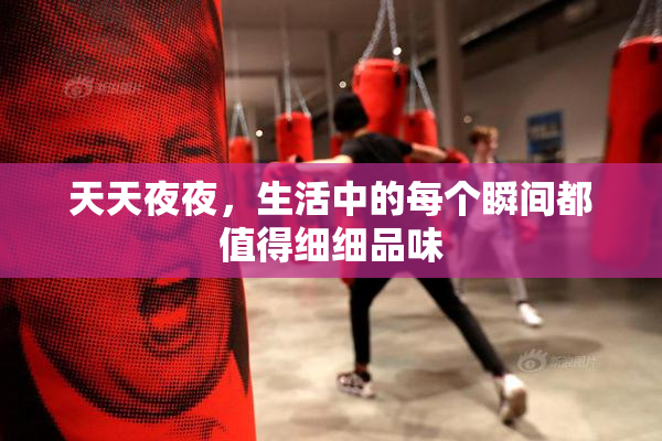 天天夜夜，生活中的每个瞬间都值得细细品味