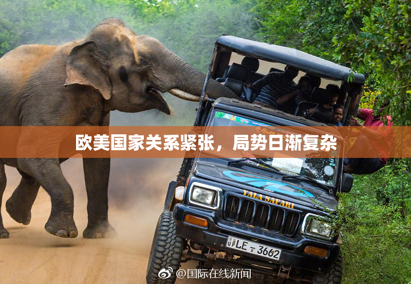 欧美国家关系紧张，局势日渐复杂