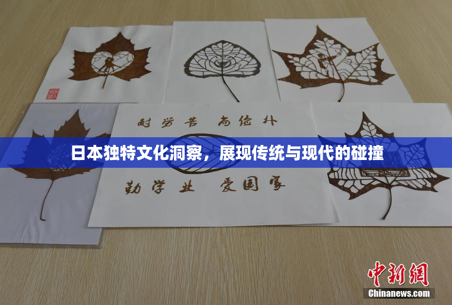 日本独特文化洞察，展现传统与现代的碰撞