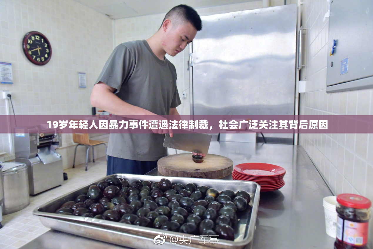 19岁年轻人因暴力事件遭遇法律制裁，社会广泛关注其背后原因