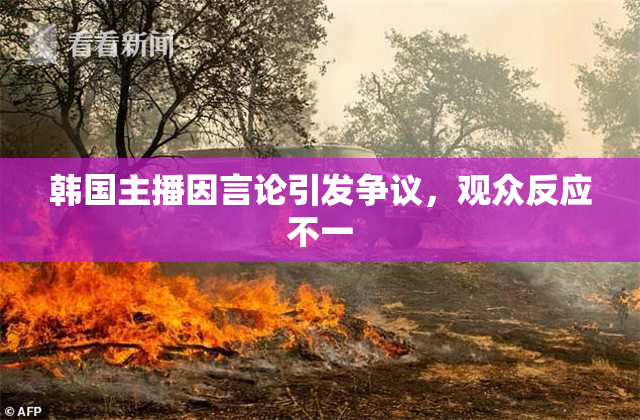 韩国主播因言论引发争议，观众反应不一