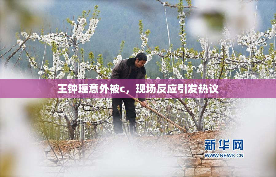 王钟瑶意外被c，现场反应引发热议