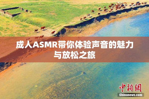 成人ASMR带你体验声音的魅力与放松之旅