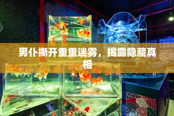 男仆撕开重重迷雾，揭露隐藏真相