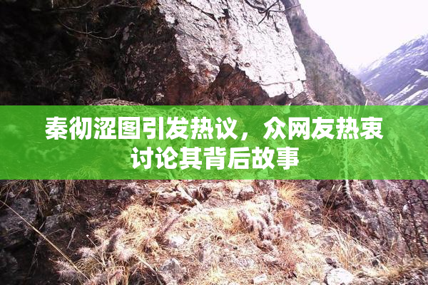 秦彻涩图引发热议，众网友热衷讨论其背后故事