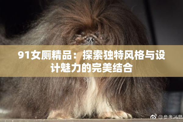 91女厕精品：探索独特风格与设计魅力的完美结合