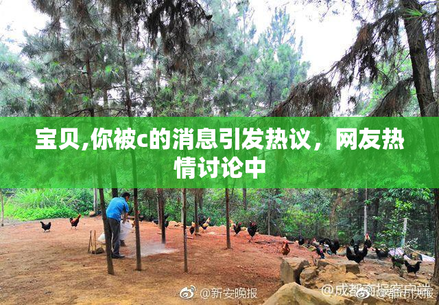 宝贝,你被c的消息引发热议，网友热情讨论中
