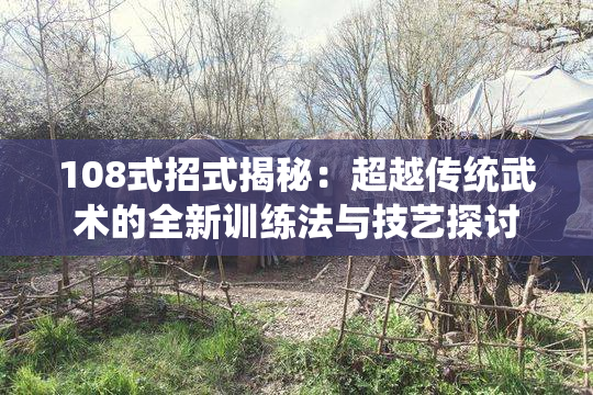 108式招式揭秘：超越传统武术的全新训练法与技艺探讨