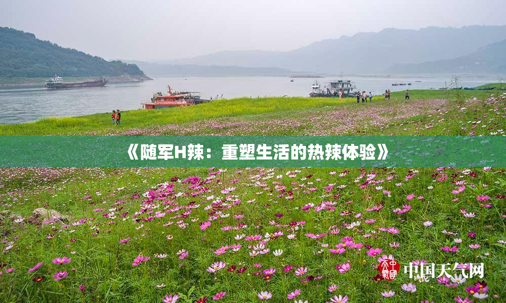 《随军H辣：重塑生活的热辣体验》