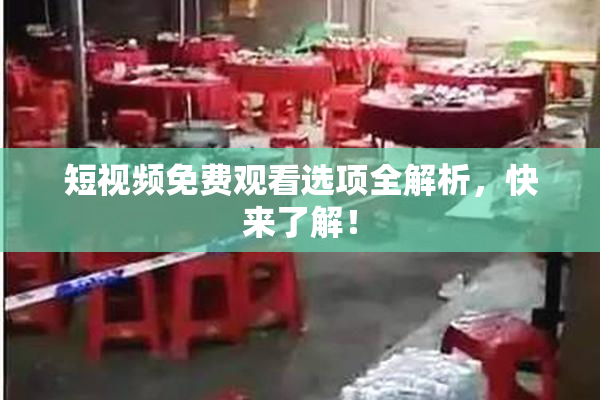 短视频免费观看选项全解析，快来了解！