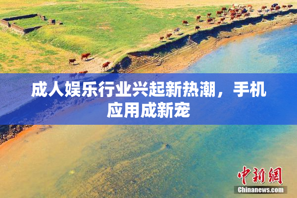 成人娱乐行业兴起新热潮，手机应用成新宠