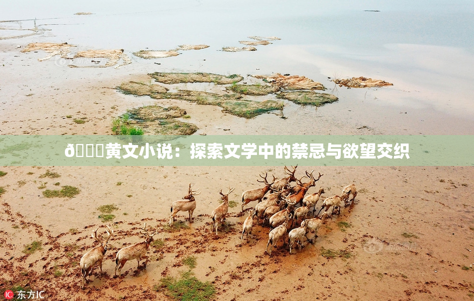 🔞黄文小说：探索文学中的禁忌与欲望交织