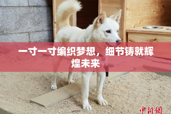 一寸一寸编织梦想，细节铸就辉煌未来