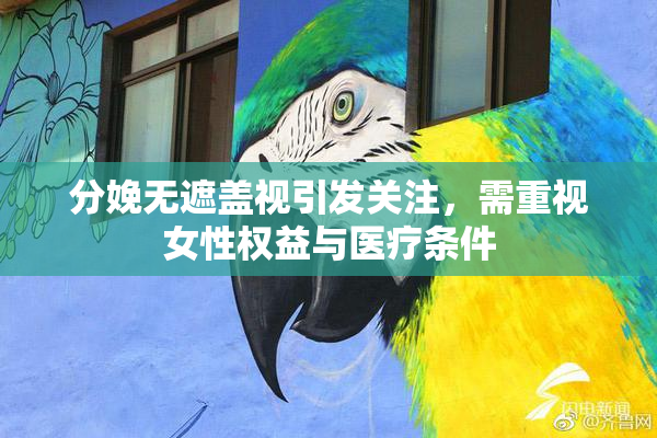 分娩无遮盖视引发关注，需重视女性权益与医疗条件