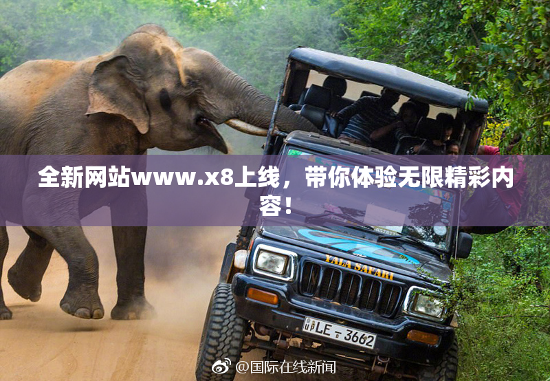 全新网站www.x8上线，带你体验无限精彩内容！